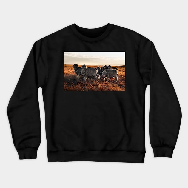 Merino Sheep in the Sunset Crewneck Sweatshirt by kawaii_shop